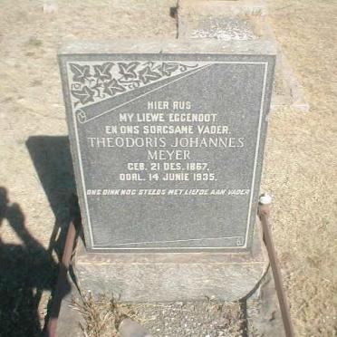 MEYER  Theodoris Johannes 1867-1935