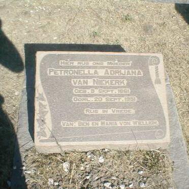 NIEKERK Petronella Adrijana, van 1881-1951