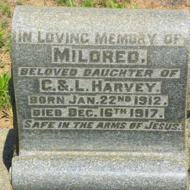 HARVEY Mildred 1912-1917