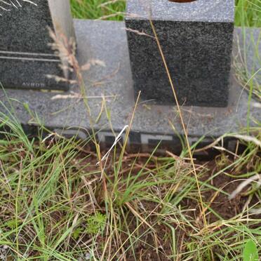 ? Jacobus H.P. 1889-1978 &amp; Hester M.M.J. NEL 1895-1981