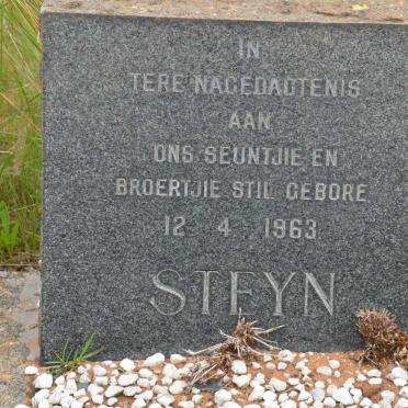 STEYN 1963-1963