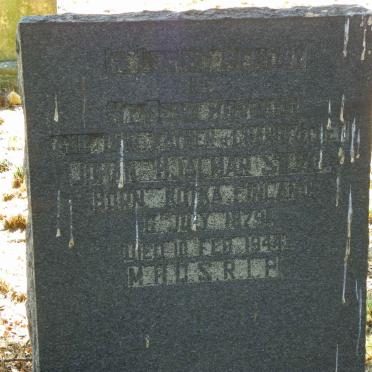 SILVO Johan Hjalmar 1879-1944