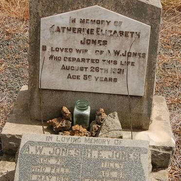 JONES Catherine Elizabeth -1931