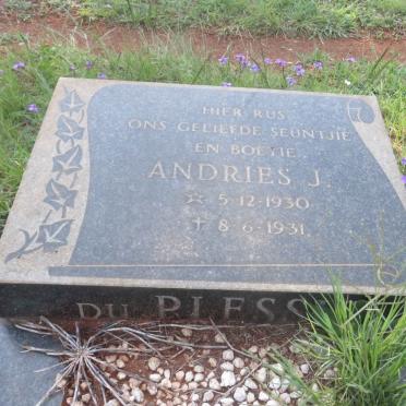 PLESSIS Andries J., du 1930-1931