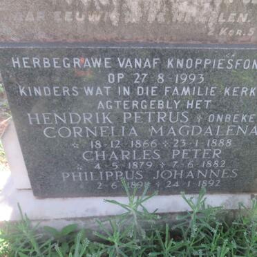 WALT Hendrik Petrus, van der 1836-1911
