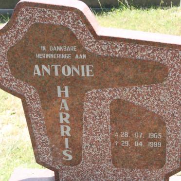 HARRIS Antonie 1965-1999
