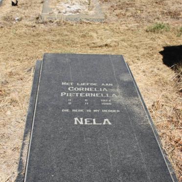 STREICHER Cornelia Pieternella 1924-1996