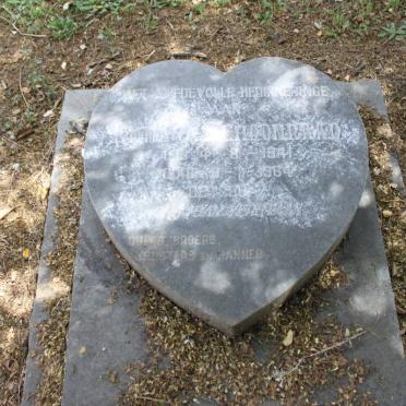 SCHOONRAAD 1941-1964