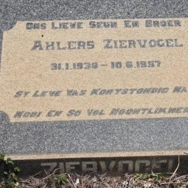 ZIERVOGEL Ahlers 1938-1957