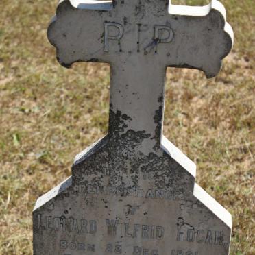 HOGAN Leonard Wilfrid 1891-1892