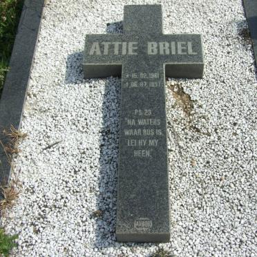 BRIEL Attie 1961-1997