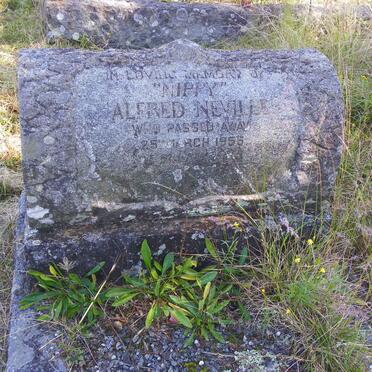 GOBLE Alfred Neville -1955