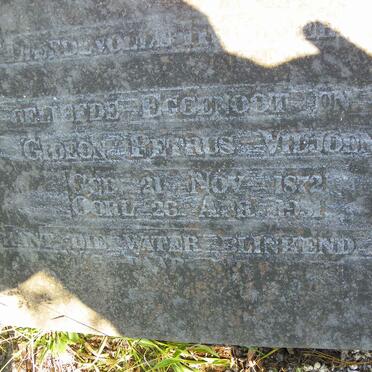 VILJOEN Gideon Petrus 1872-1951 _1