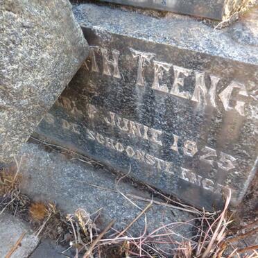 TEENGS Wilhelmina Elizabeth 1858-1925_2