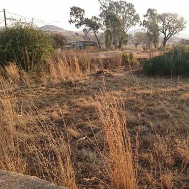 Mpumalanga, GREYLINGSTAD, Urban area