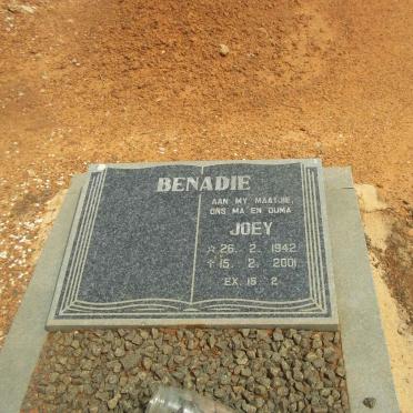 BENADE Joey 1942-2001