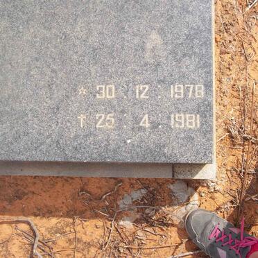 BEER Thea, de 1978-1981