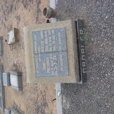 GROBLER Sarel Pretorius 1879-1972 &amp; Hester Anna MOOLMAN 1892-1951