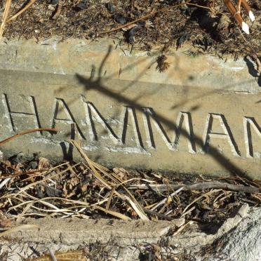 HAMMAN