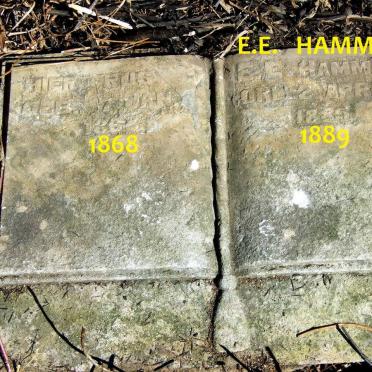 HAMMAN E.E. 1868-1889