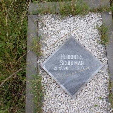 SCHOEMAN Hercules 1978-1979