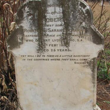 BUCHANAN Robert -1880