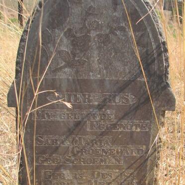 GROENEWALD Sara Maria nee SCHOEMAN 18?4 -1948