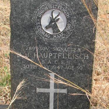 HAUPTFLEISCH J.J. -1947