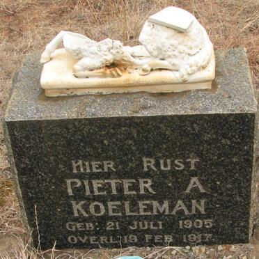 KOELEMAN Pieter A. 1905-1917