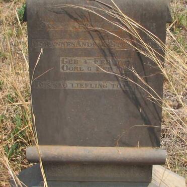 STEENKAMP Johannes Andries 1909-1909