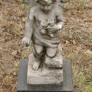 VENTER Baba 1973-1973