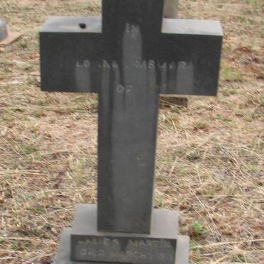 WILLIAMS James Martin -1911