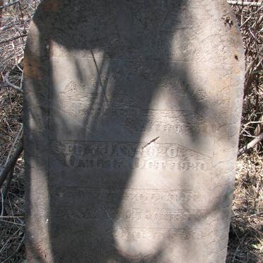 ? Pieter Willem 1920-1920