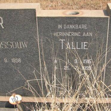 KRUGER Frederik Rossouw 1907-1956 :: VAN DER VYVER Johannes Petrus 1907-1966