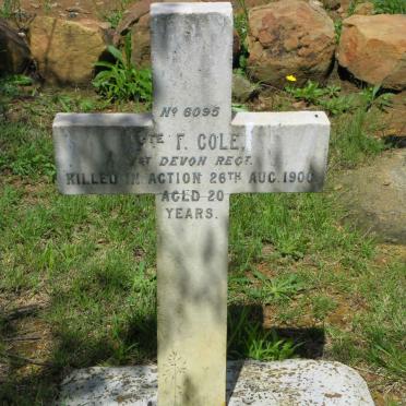 COLE F. -1900