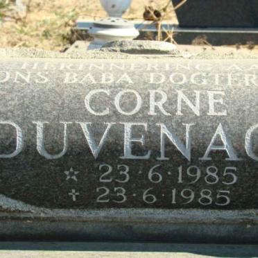 DUVENHAGE Corne 1985-1985