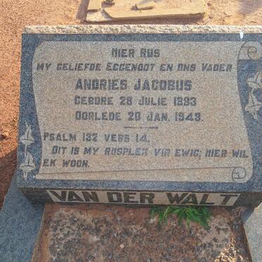 WALT Andries Jacobus, van der 1883-1948