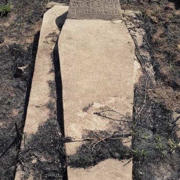 DAVEL Cornelus J.V.D. 1883-1931