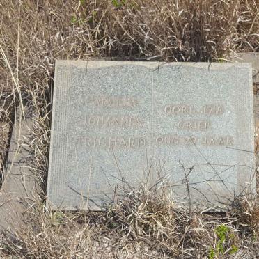 Mpumalanga, MIDDELBURG district, Middelburg, Rietfontein 314_8, farm cemetery