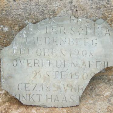 LIEBENBERG Hester Sophia 1908-1909
