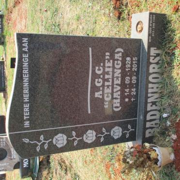 BADENHORST A.G.C. nee HAVENGA 1929-2015