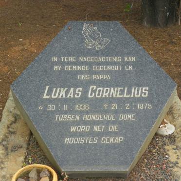 JOUBERT Lukas Cornelius 1936–1975 #2