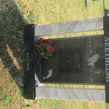 NEETHLING Francois Stephanus 1982-2004