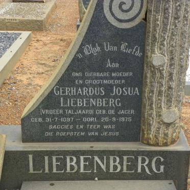 TALJAARD Dirk Cornelius 1884-1964 &amp; Gerhardus Josua LIEBENBERG voorheen TALJAARD nee DE JAGER 1897-1975 #3