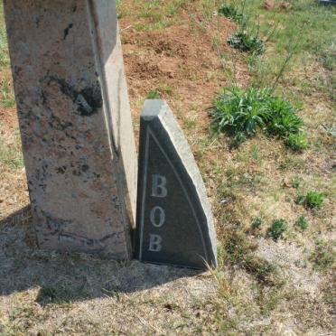 ? Bob