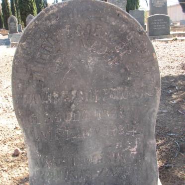 OBERHOLSTER David A.J.J. 1859-1924