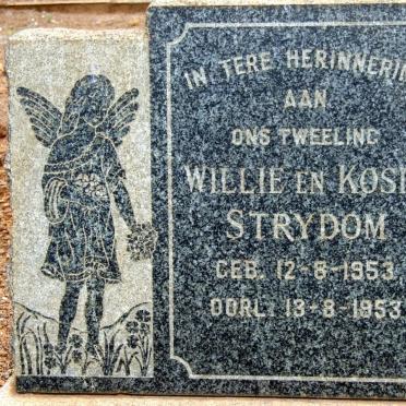 STRYDOM Willie 1953-1953 :: STRYDOM Kosie 1953-1953