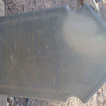 WILMANS C. 1903-1905