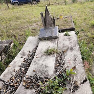 MERWE Johannes Lodewickus, van der 1873-1956