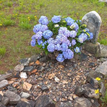 VERMAAK Maria Elizabeth 18?4-1901 